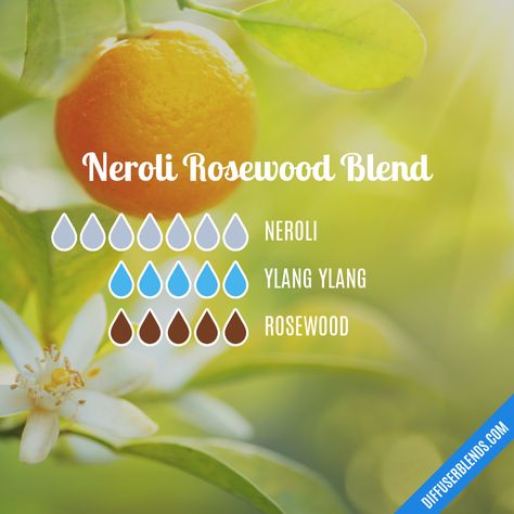 Neroli Oil Blends, Rosewood Essential Oil Blends, Neroli Essential Oil Blends, Rosewood Essential Oil, Neroli Oil, Essential Oil Perfumes Recipes, Neroli Essential Oil, Aromatherapy Recipes, Essential Oil Combinations