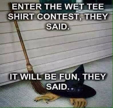 Wet Tee Shirt, Halloween Jokes, Halloween Memes, Wet T Shirt, Everything Funny, Funny Captions, Halloween Cartoons, Holiday Humor, They Said