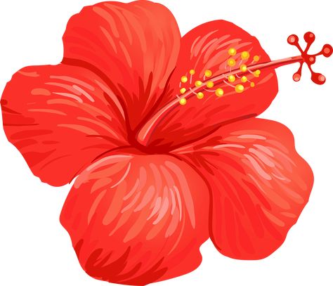 Tropical hibiscus flower vector Hibiscus Flower Vector, Festivals Illustration, Hibiscus Vector, Hibiscus Flower Illustration, Hari Gawai, Hibiscus Illustration, Raya Haji, Pink Drawing, Hawaii Flowers