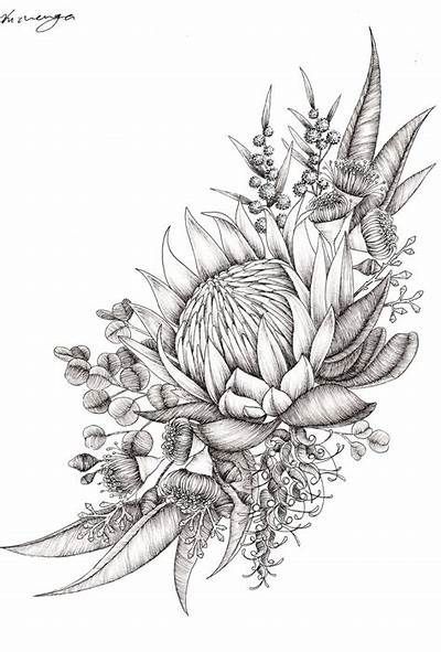 {Latest tattoo  designs and tattoo ideas huge collection of images.} Native Floral Tattoo, Botanical Tattoo Sleeve, Side Drawing, Flower Vine Tattoos, Flower Tattoo Stencils, Africa Tattoos, Australian Tattoo, Protea Art, Flower Tattoo Ideas