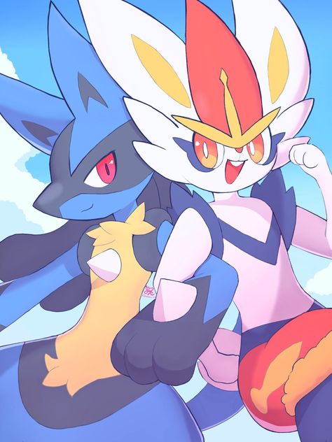 Pokemon Lucario And Cinderace, Pokemon Cinderace X Lucario, Cinderace And Lucario, Lucario And Cinderace, Lucario Pfp, Cinderace X Lucario, Lucario Fanart, Latios Pokemon, Pokemon Lucario