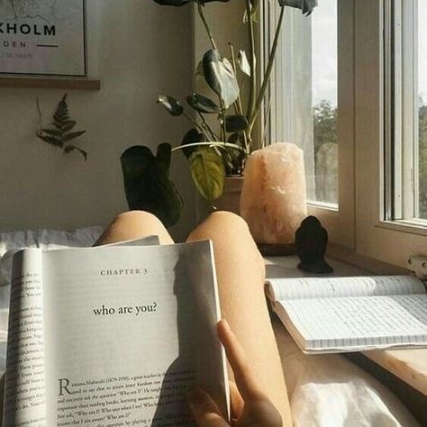 Reading In Bed Aesthetic, In Bed Aesthetic, Bed Aesthetic, Reading Girl, Industrial Interior Style, Chaotic Academia, Reading In Bed, Studying Inspo, Modern Bohemian