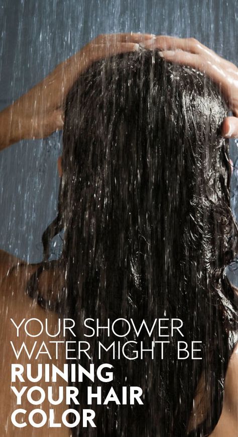 Your #shower water might be ruining your #haircolor. #hairtips #shampoo #healthyhair #beautyhack Hard Water Hair, Chelating Shampoo, Water Hair, Hair Issues, Shower Water, Fall Makeup Looks, Oil Treatments, Hair Breakage, Fall Makeup