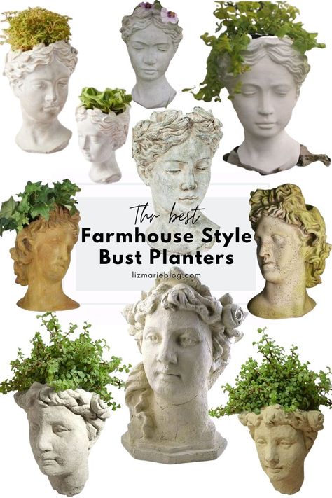 Greek Bust Planter, Succulent Head Planter, Pot Heads Planters, Head Planter Ideas, Bust Planters, Bust Planter, Farmhouse Summer Decor, Library Bookshelves, Liz Marie