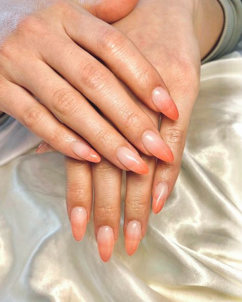 Coral Jelly Nails, Ombre Nails Coral, Peach Fuzz Nail Color, Peach Coral Nails, Ombre Nails Peach, Peach Fuzz Nails, Peach Ombre Nails, Coral Acrylic Nails, Coral Ombre Nails