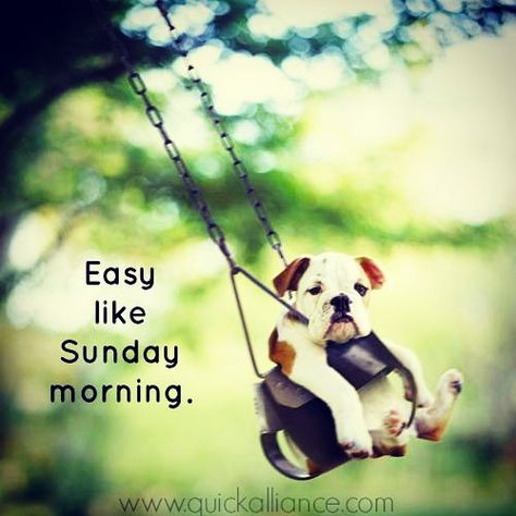 Enjoy your Sunday! #sunday #morning #blessed #love #bestoftheday #instagood #follow #picoftheday #happy #photooftheday #likes #igers #instadaily Sunday Morning Memes, Sunday Meme, Sunday Humor, Sunday Morning Quotes, Sunday Quotes Funny, Quotes Dream, Morning Memes, Good Day Sunshine, Weekday Quotes