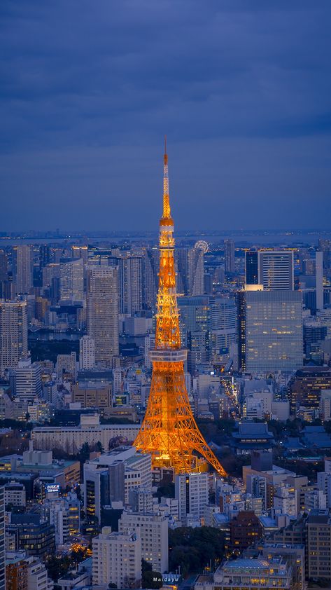 Tokyo Night Aesthetic Wallpaper, Architecture 101, Tokyo Aesthetic, Tokyo Photos, Korea Wallpaper, Architecture Portfolio Design, Tokyo Night, Japan Photography, Japan Street