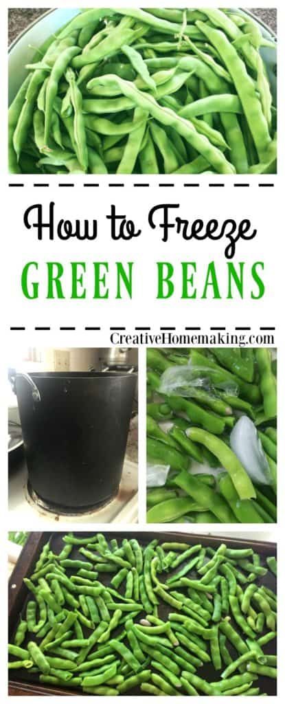 Freezing Fresh Green Beans, Freezing Green Beans, Preserving Green Beans, Preserving Vegetables, Freeze Food, Freezing Vegetables, Fresh Peas, Onion Pie, Stock Your Pantry