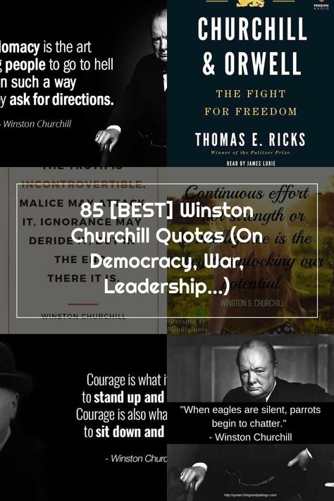 Winston Churchill The truth is incontrovertible. Malice may attack it, ignorance may deride it, but in the end, there it is - Winston Churchill. #quotes #truth Winston Churchill Quotes On Democracy, Democracy Quotes, Winston Churchill Quotes, Brainy Quotes, Success Is Not Final, Winston Churchill, In The End, Churchill, The Truth