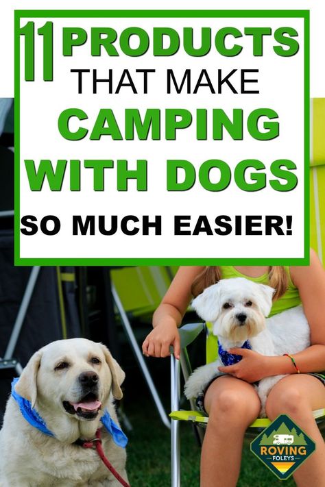 Rv Dog, Rv Pet, Camping With Dogs, Full Time Rv Living, Pet Camping, Colorful Hairstyles, Living With Dogs, Rv Camping Tips, Camper Organization