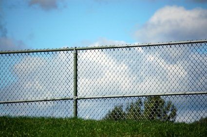 Make a chain link fence beautiful. Painted Chain Link Fence, Chain Fence, Safety Fence, Fencing & Gates, Robert Frost, Wood Post, Chain Link Fence, Fence Ideas, Good Neighbor