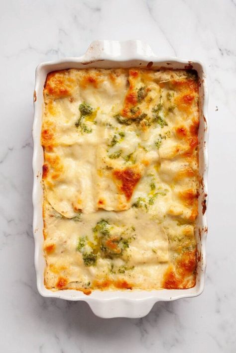 Chicken Broccoli Lasagna, Chicken And Broccoli Lasagna, Broccoli Lasagna Recipe, Broccoli Lasagna, Chicken Alfredo Lasagna Recipe, Healthy Alfredo Sauce, Chicken Lasagna Recipe, Family Dinner Recipe, White Lasagna