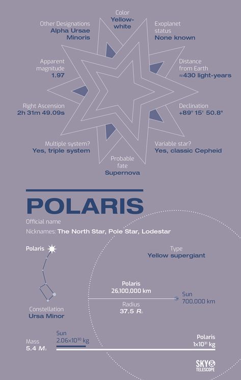 North Star Constellation, Polaris Star Aesthetic, North Star Aesthetic, Polaris Star, Astronomy Constellations, Astronomy Science, The North Star, Pole Star, Star System