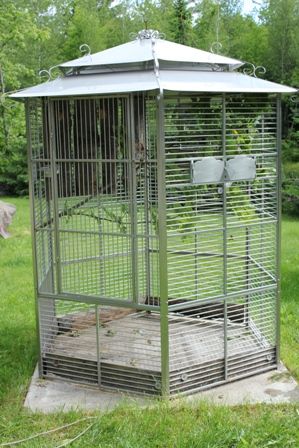 Aviary Ideas Outdoor, Bird Aviary For Sale, Parrot Habitat, Aviary Ideas, Flight Cage, Pet Bird Cage, Arch Trellis, Parrot Pet, Bird House Kits