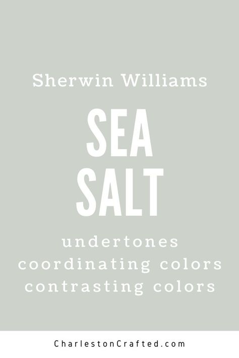 Whole House Color Palette Sea Salt, Blue Bathroom Paint Colors Sherwin Williams, Sea Salt Guest Bedroom, Sherwin Williams Seasalt Bedroom, Sea Salt Paint Sherwin Williams, Wherein Williams Sea Salt Bathroom, Seamist Paint Color, Sw Sea Salt Front Door, Sea Salt Sherwin Williams Kitchen Island