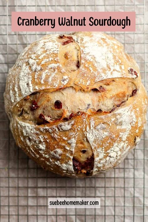 Cranberry Orange Artisan Bread, Cranberry Orange Bread Sourdough, Sourdough Orange Cranberry Bread, Cranberry Walnut Sourdough Bread Recipe, Sourdough Discard Cranberry Orange Bread, Sourdough Cranberry Orange Bread, Orange Cranberry Sourdough Bread, Fruit Sourdough Bread, Sourdough Cranberry Bread