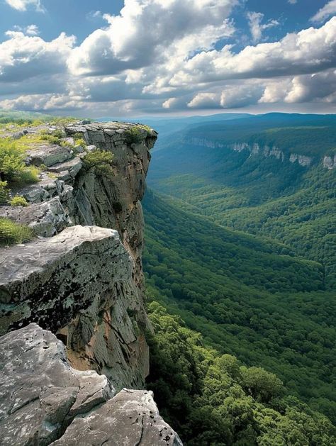 Blue Ridge Mountains in Virginia! Appalachian Mountains, World Pictures, Blue Ridge Mountains, Nature Aesthetic, Blue Ridge, Nature Travel, The View, Amazing Nature, Natural Wonders