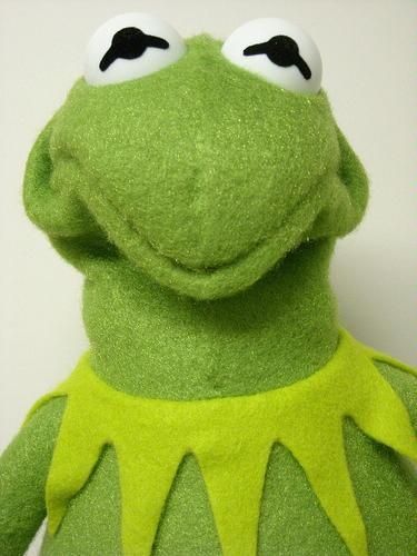 My favorite Kermit "scrunch" face!!! Kermit Face, Sapo Kermit, Kermit Funny, Frog Meme, Vegan Memes, Vegan Quotes, Fraggle Rock, Vegan Humor, The Muppet Show