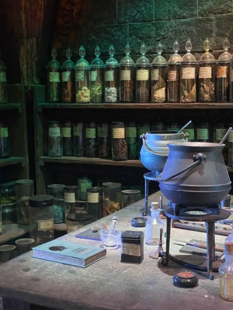 Potions Classroom, Hp Crafts, House Party Aesthetic, Hogwarts Classes, Harry Potter Classroom, Harry Potter Potions, Harry Potter Background, Witch Potion, Harry Potter Shop