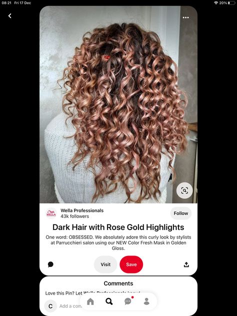 Rose Gold Highlights Curly Hair, Rose Gold Curly Hair, Gold Curly Hair, Rose Gold Balayage, Rose Gold Highlights, Hair Pale Skin, Dark Curly Hair, Highlights Curly Hair, Hair Color Rose Gold