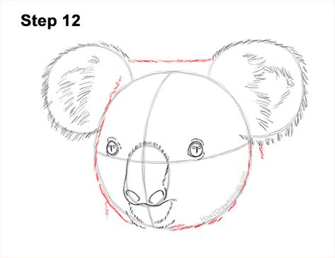 Koala Drawing Realistic, How To Draw A Koala, Koala Drawing, Nose Drawing, Popular Cartoons, How To Shade, Painted Glasses, Christmas Interiors, Animal Sketches