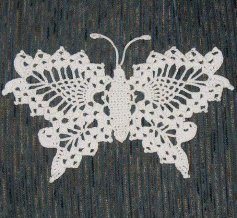 Delicate Crochet Butterfly - Free Pattern | Beautiful Skills - Crochet Knitting Quilting | Bloglovin’ Crocheted Butterfly, Crochet Butterfly Free Pattern, Butterfly Tutorial, Crochet Butterfly Pattern, Delicate Crochet, Crochet Dollies, Crochet Birds, Crochet Butterfly, Crochet Doily Patterns