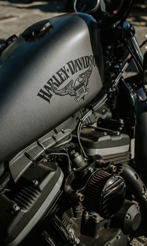 Bikeriders Aesthetic, Harley Davidson Aesthetic, Harley Aesthetic, Motor Aesthetic, Moto Aesthetic, Harley Davidson Motorcycles Sportster, Moto Harley Davidson, Мотоциклы Harley Davidson, Harley Davidson Wallpaper