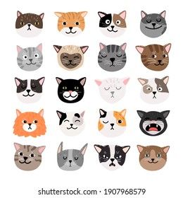 Cat Face Illustration, Cats Face, Cat Expressions, Funny Cat Faces, Cat Emoji, Cat Background, Face Illustration, Cat Vector, Angry Cat