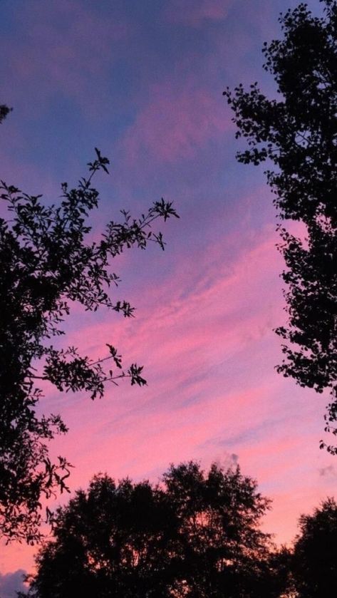 Summer Nature Photography, Sky Pictures, Pretty Landscapes, Pink Sunset, Tree Sculpture, Arte Inspo, Pretty Sky, Sunset Sky, Wallpapers Vintage