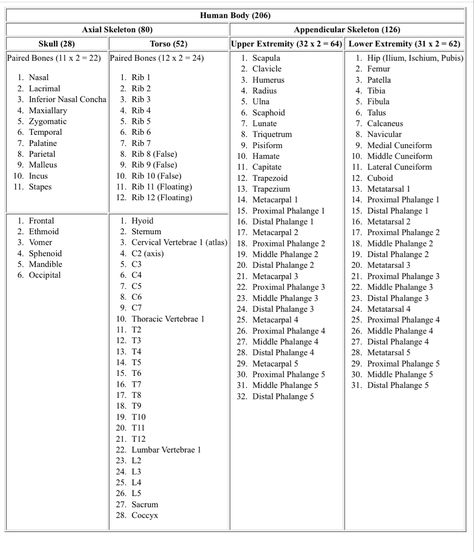 List of human bones 
Anatomy bones
Anatomy chart
Complete list of human bones in body How To Study Anatomy, Bones Of The Body, Human Body Bones, Teas Test, Nursing School Inspiration, Human Skeleton Anatomy, Bones And All, Nurse Study, Basic Anatomy