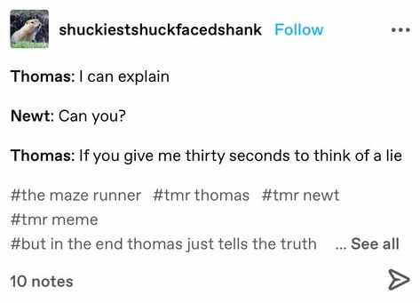 Newtmas Headcanon, Maze Runner Funny, Maze Runner Imagines, Maze Runner Movie, Maze Runner Series, The Scorch Trials, Karma Quotes, Lost City, Newt