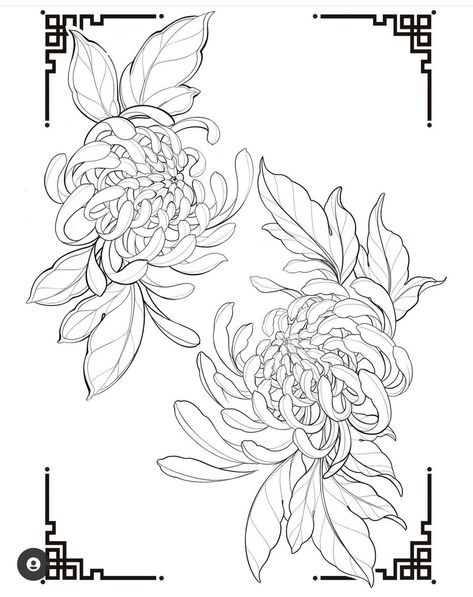 Flores Tattoo, Japanese Flower Tattoo, Minimalist Tattoo Ideas, Chrysanthemum Tattoo, Flower Tattoo Drawings, General Ideas, Floral Tattoo Design, Tattoo Portfolio, Tattoo Art Drawings