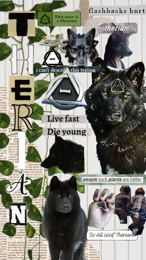 Just a black wolf shuffle for anyone who likes it<3#therianday #therians #antizoo #blackwolf Therian Wallpaper, Wolf Black, Black Wolf, A Black, Energy, Collage, Animals, Black