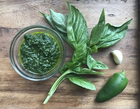 JALAPEÑO PESTO Jalapeno Pesto Recipe, Jalapeno Pesto, Pesto Sandwich Recipe, Cilantro Jalapeno Hummus, Vegan Apps, Pesto Sandwich, Basil Olive Oil, Basil Recipes, Leg Of Lamb