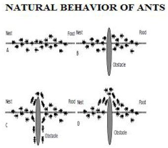 Ant Architecture, Ant Farm Architecture, Ant Anstead, Ant Species, Ant Colony, Bee Swarm, Ants, Morning Quotes, Communication