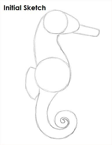 Sea Horses Drawing, How To Draw A Seahorse Step By Step, Seahorse Painting Easy, Sea Horse Sketch, Seahorses Drawings, Seahorses Aesthetic, Seahorse Drawing Easy, Sea Horse Drawing Easy, Simple Ocean Drawing