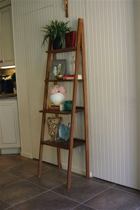 Ladder Bookshelf Diy, Slanted Bookshelf, Apartment Bookshelf, Diy Ladder Shelf, Bookshelf Ladder, Leaning Bookshelf, Shelf Plans, Bookshelf Diy, Leaning Bookcase