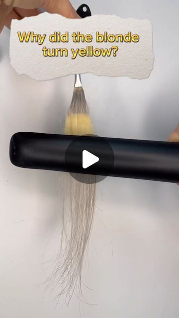 behindthechair.com on Instagram: "* Def STILL see yellow! 🤌🏼😜
Repost via @dariagrosu 💛
——
Why is your blonde turning yellow?
I hope this example makes it clear! #BEHINDTHECHAIR #btcReelQuickie #hairreels hair #hairhacks #hairtips #btcWellThisLooksInteresting #btcthemoreyouknow🌈 #btcdariagrosu" Yellow Blonde Hair, Yellow Blonde, Behind The Chair, Icy Blonde, Be Still, Hair Hacks, Turning, I Hope, Blonde