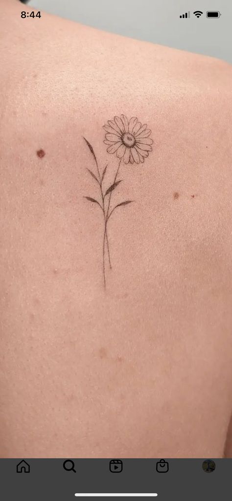 Unleash your creativity with our unique collection of tattoo sketches! Tattoo Ideas Daisy Flower, Marguerite Flower Tattoo, Sunflower Tattoo Tiny, Simple Aster Tattoo, Flower Tattoos Sunflower, Marguerite Daisy Tattoo, Daisy Tattoo Flower, Daisy Small Tattoo, Sunflower Tattoo Ribcage