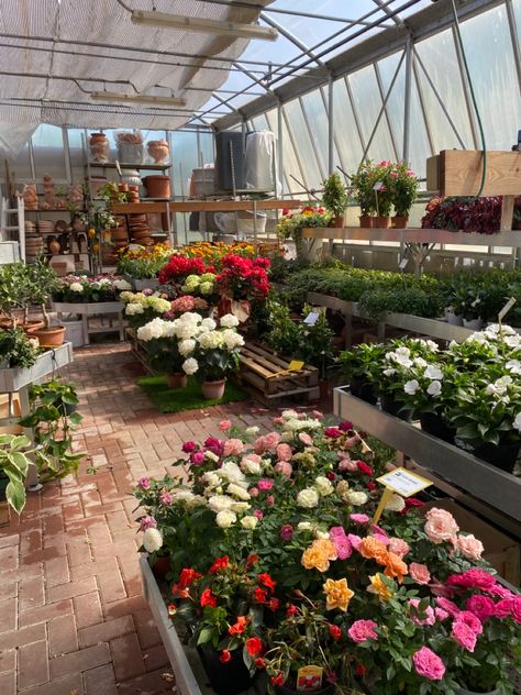 #shopping #gardening #garden #gardencenter #myshopping #green #aesthetic Garden Centre Aesthetic, Fragile Sanctuary, Gardening Club, Gardening Aesthetic, Clubbing Aesthetic, School Clubs, Garden Centre, Garden Club, My Place