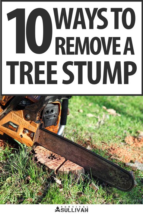 Removing Tree Stumps, Tree Stumps Diy, Diy Homesteading, Stump Removal, Tree Stumps, Emergency Prepping, Tree Stump, How Do I Get, Survival Skills