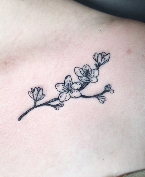 Peach Blossom Tattoo Black And White, Chinese Plum Blossom Tattoo, Cherry Blossom Collar Bone Tattoo, Cherry Blossom Tattoo Black, Plum Blossom Tattoo, Butterfly With Flowers Tattoo, Inspo Tattoo, Plum Blossoms, Blossom Tattoo