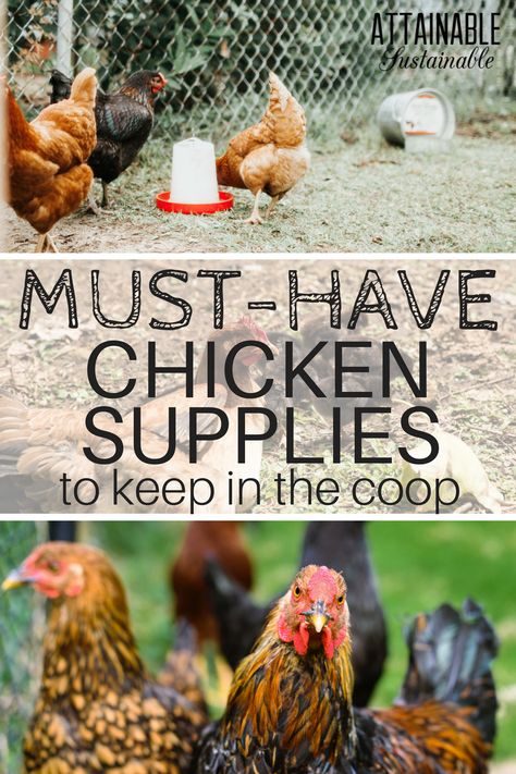 Chicken Equipment, Chicken Coop Shed, Chicken Coop Kit, Urban Chicken Farming, Chicken Supplies, Chicken Raising, Portable Chicken Coop, Urban Chickens, Chicken Care