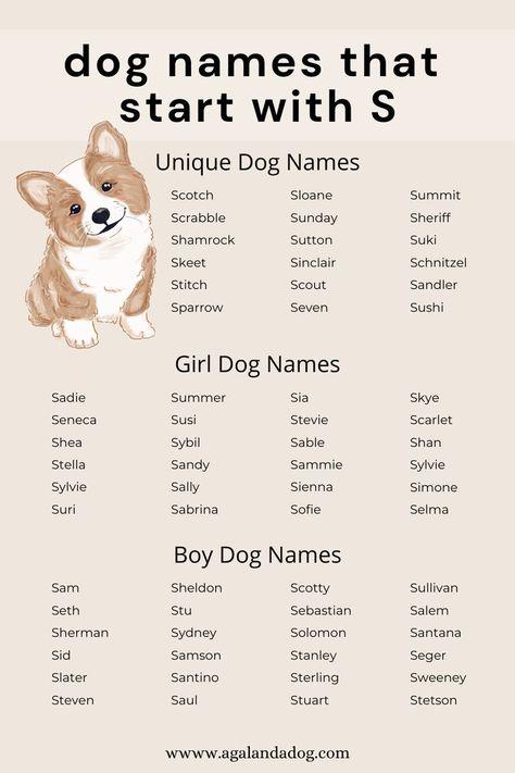 List of dog names that start with S. Name For Puppies, Puppy Names Female, Pet Names For Dogs, Puppies Names Female, Small Dog Names, Cute Puppy Names, Cute Pet Names, Dog Names Unique, Boy Dog Names