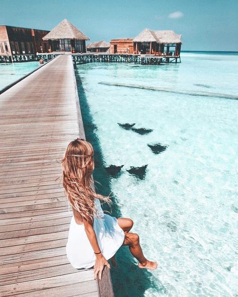 Bora Bora Island, Beach Pink, Tropical Beaches, Presets Lightroom, Bora Bora, Wanderlust Travel, Beach Photos, Most Beautiful Places, New Yorker