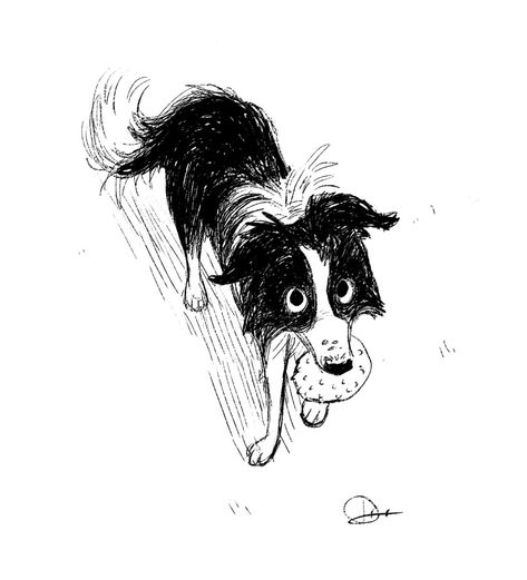 Cartoon Dog Drawing, Dogs Drawing, Drawing Borders, Dog Drawing Simple, Border Collie Art, Cute Dog Drawing, Donna Lee, Dog Drawings, Simple Drawings