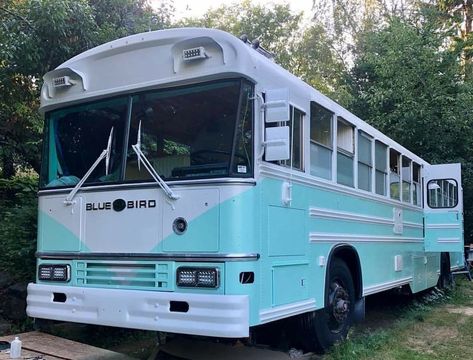 Bus Greenhouse, Skoolie Conversion Exterior Paint, Skoolie Paint Job, Skoolie Exterior, School Bus Paint Job, Converted School Bus Exterior, Blue Bird Bus Conversion, Blue Bus Aesthetic, Bus Renovation