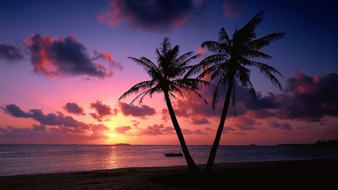 Tropical Island Beach Sunset Wallpaper Cool Backgrounds | by wallsauto Beach Sunset Images, Beautiful Beach Sunset, Tropical Island Beach, Beach Sunset Wallpaper, Tropical Background, Sunset Images, Purple Sunset, St. Croix, St Croix