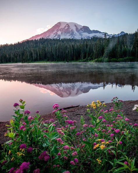 My Rainier, What A Beautiful World, Alpine Lake, National Parks Trip, Pop Out, Scene Photo, Special Places, The View, Mount Rainier