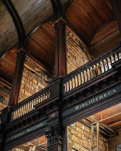 Trinity College Library in Dublin - heaven for any book lover. | Instagram Trinity College Aesthetic, Trinity Dublin, Classics Student, Dublin Library, Book Sketches, Trinity College Library, Trinity College Dublin, College Library, Trinity College